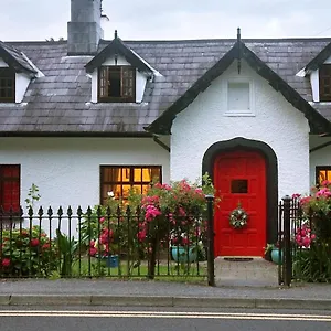  Bed & Breakfast Ivy Ireland